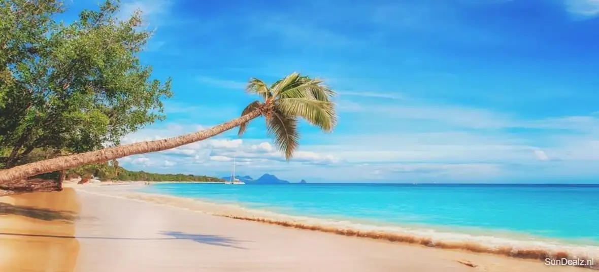 Goedkope vakantie Caribbean 2022-2023