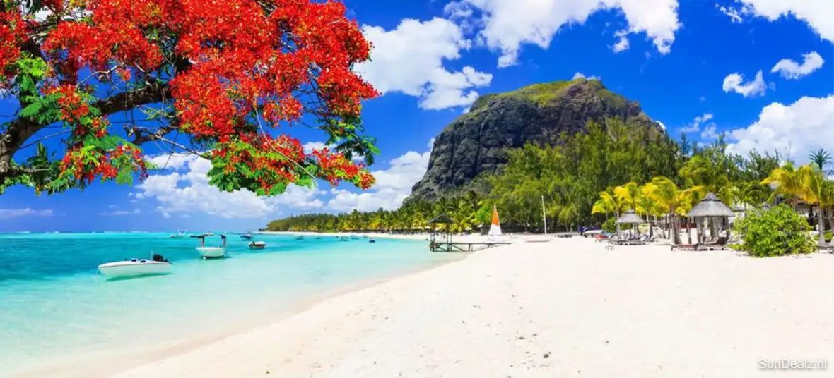 Goedkope vakantie Mauritius 2023-2024