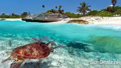 Top10zon Mexico