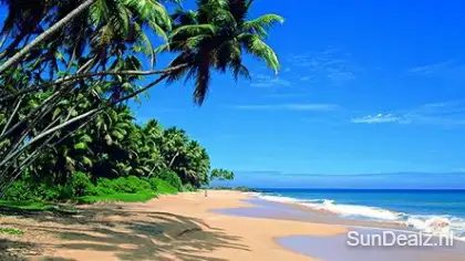 Top10zon Sri Lanka