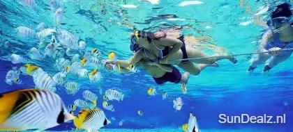 snorkelen azie