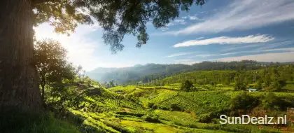 Sri lanka 38099982 123rf
